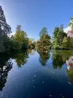 Patos en Kew Gardens, Richmond, UK.
